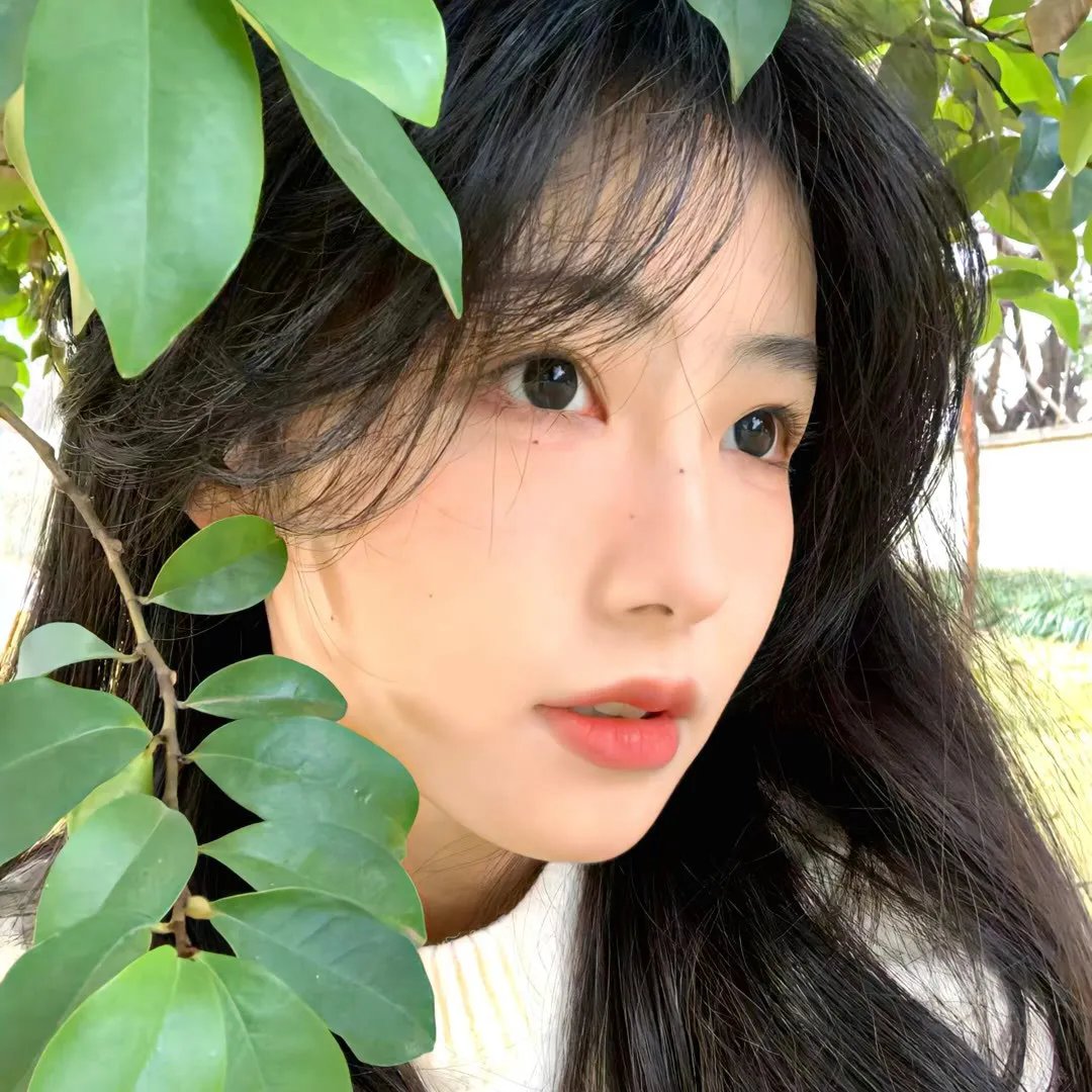 相对宇宙第一季