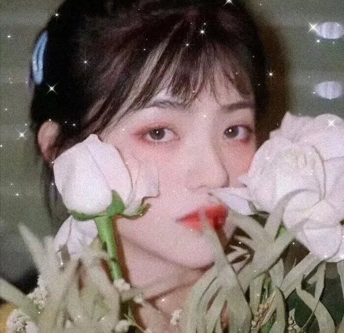 系统之皇后养成记